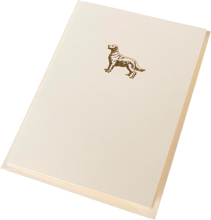 Graphique La Petite Presse Golden Retriever Boxed Notes | Blank Note Cards with Envelopes | 10 Count All Occasion Greeting Card Set | 3.25 x 4.75 Inches | High Quality Thick Paper Stationery with Unique Design