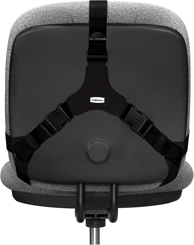 Fellowes Professional Series Back Support, Black (8037601) (Pack of 2)