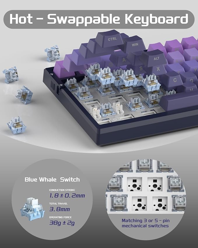 MageGee SKY81 75% Mechanical Gaming Keyboard, RGB Hot Swappable Wired Custom Creamy Keyboards with 5-Layer Sound Dampening, Knob, Side Printed Keycaps for Win/Mac (Dark Purple, Blue Whale Switch)