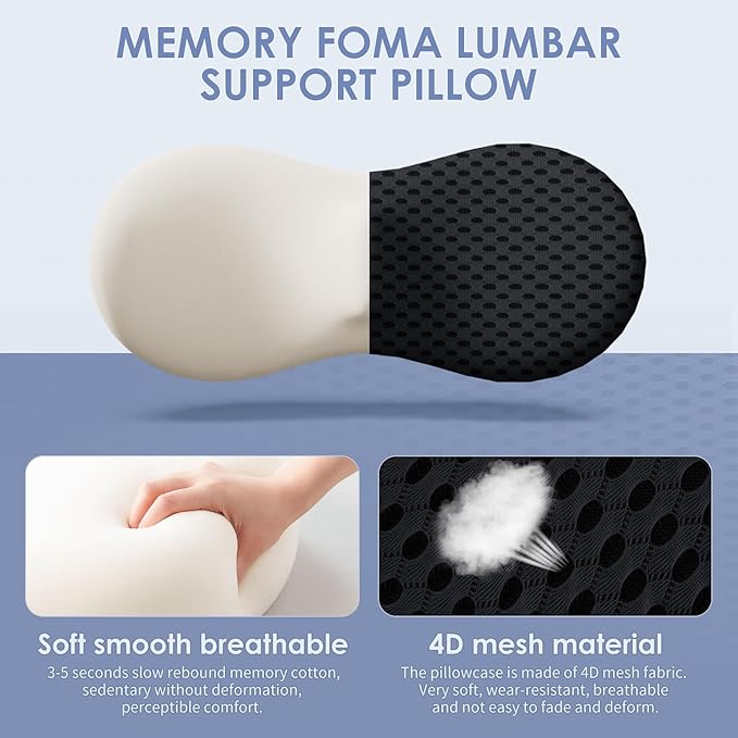 kasney Lumbar Support Pillow, Memory Foam Lumbar Pillow for Lower Back Pain Relief, Back Support Pillow for Office Chair, Car Seat - Black