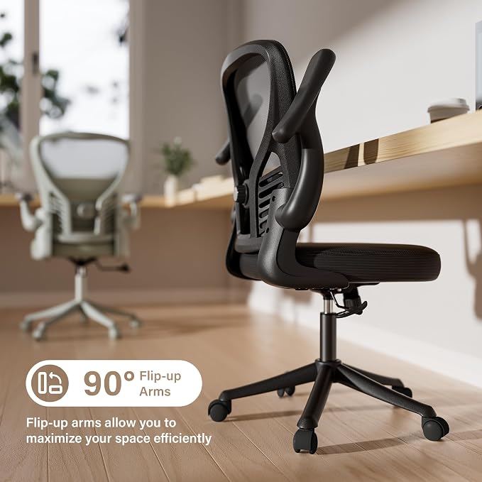 GYI Office Chair Ergonomic, Computer Desk Chair with Mesh Back, Adjustable Lumbar Support, 3D Flip-up Arms, Wheels, Black