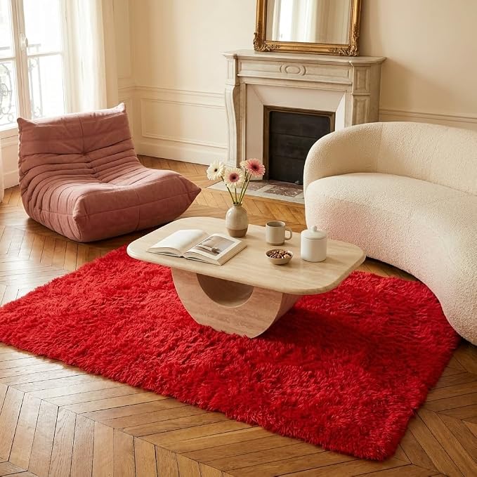 Mugorn Small Soft Shag Rugs for Bedroom, 4x6 Fluffy Area Rugs for Living Room