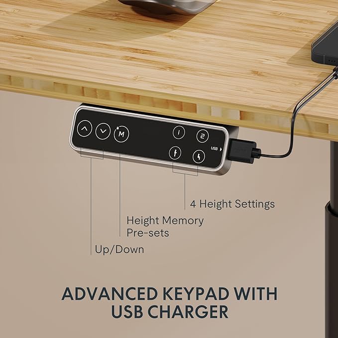 FLEXISPOT E6 Pro Oval Leg Dual Motor 3 Stages Bamboo Whole-Piece Electric Standing Desk 60x30 Inch Board Height Adjustable Electric Sit Stand Up Desk (Black Frame + Bamboo Whole-Piece Desktop)