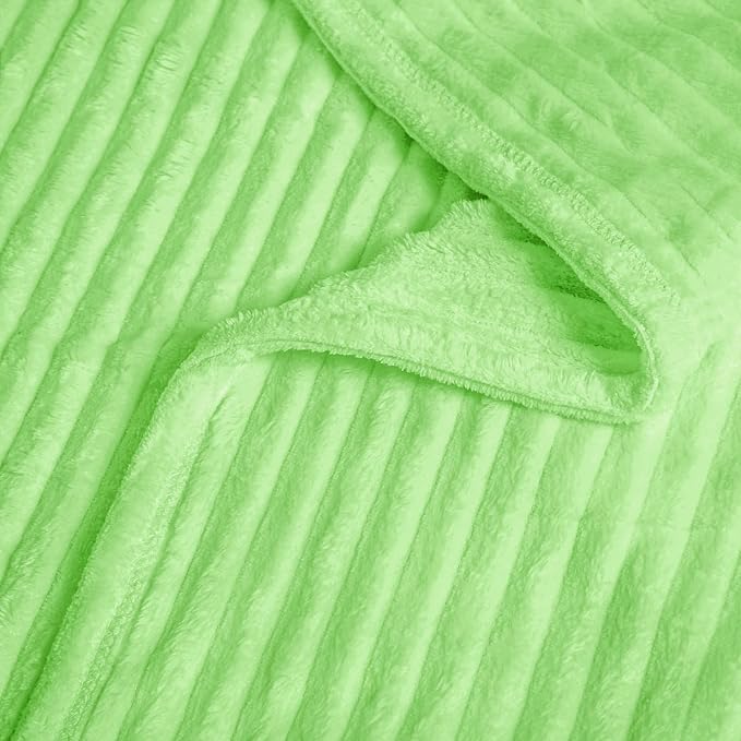 Vessia Flannel Fleece Throw Blanket (50X70 inch), 300GSM Lightweight Light Green Blanket for Couch, Sofa and Bed - Warm and Soft Green Throw for All Season