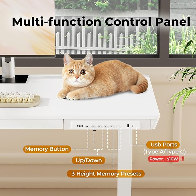 Electric Standing Desk with Drawer, 40" x 20" Whole Piece Tabletop Samll Sit Stand Desk, Height Adjustable Desk with Storage & USB Ports, Quick Install Home Office Computer Desk, White
