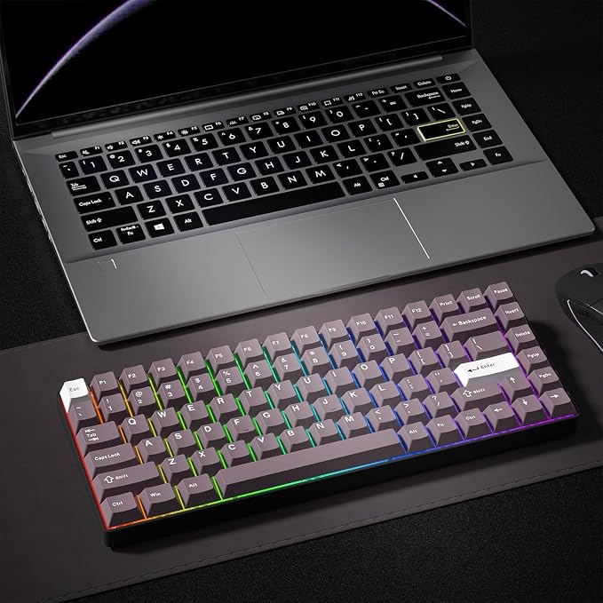PBT Keycaps Set, Doubleshot 123 Key Caps,Cherry Profile Custom Keycap for 61/64/68/84/87/100/104/108 Mechanical Keyboard, Compatiability for 60 65 75 100 Percent Keyboads (Purple)