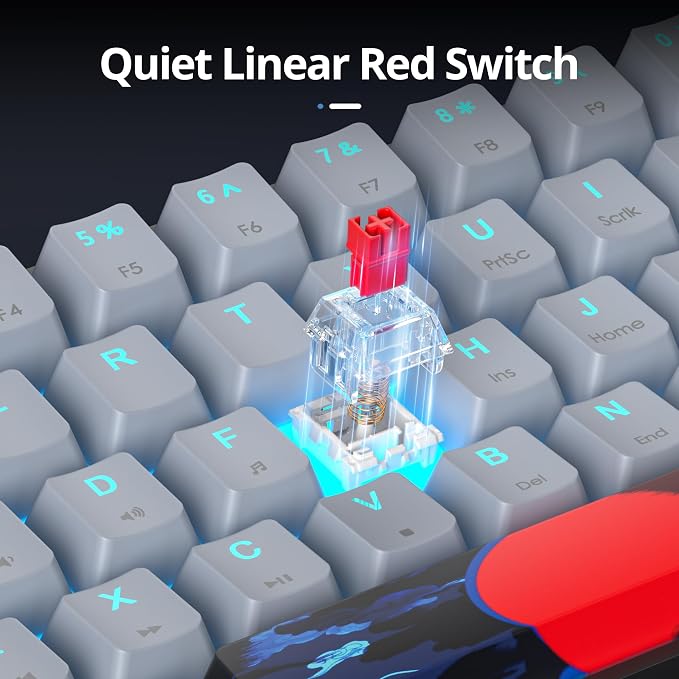 60 Percent Gaming Keyboard 61 Keys Wired Mechanical Keyboard Ultra Compact Key Board Red Switch LED Backlit for Windows Laptop Gamer
