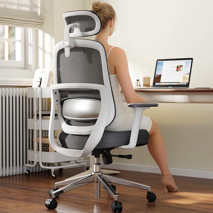 Ergonomic Office Chair, Home Office Desk Chairs, 3D Lumbar Support High Back Desk Chair, Comfortable Computer Chair & Gaming Chair for Office & Home - Silver