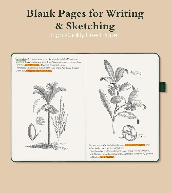 PAIBAS Blank Journal Notebook for Women Men,160 Pages,A5 Hardcover Sketchbook for Drawing, Sketch book, Unlined Notebooks for School,Work, Note Taking,Travel Journals for Writing 5.8"x8.5" (Green)