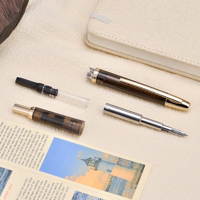 Jinhao 20 Press Fountain Pen, Transparent Black Retractable Fine Nib with Ink Converter Set (Golden Clip)