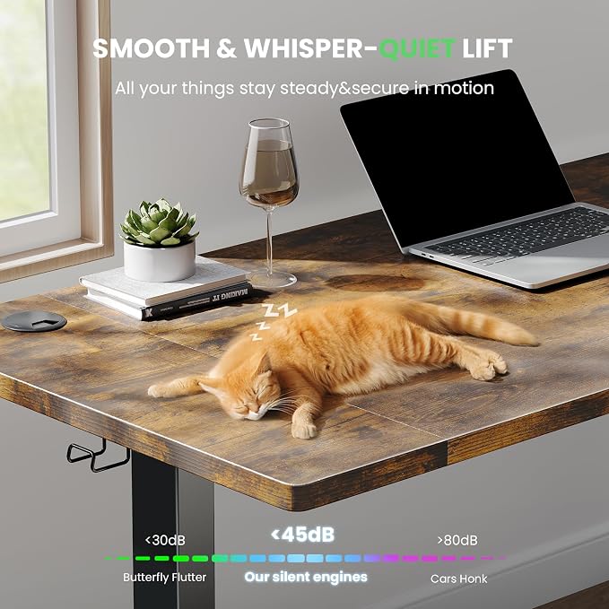SIAGO Electric Standing Desk Adjustable - 55 x 24 Inch Sit Stand up Desk with 0.8 Inch Thick Tabletop - Adjustable Height Table with 3 Memory Preset, Cable Management for Home Office