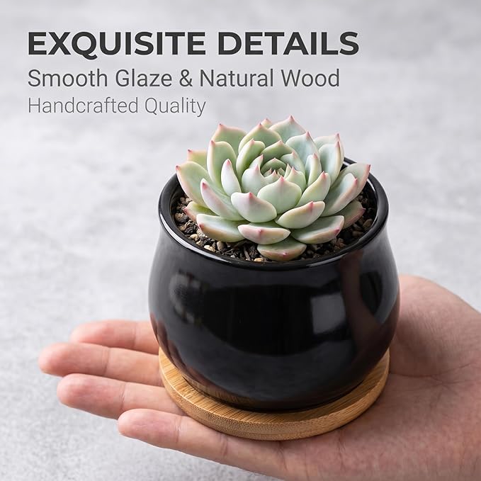 SHECIPIN 2 Pack Succulent Pots, 2.5 Inch Mini Ceramic Pots for Flower or Cactus Plants with Drainage Hole,Plants Not Included (Black)