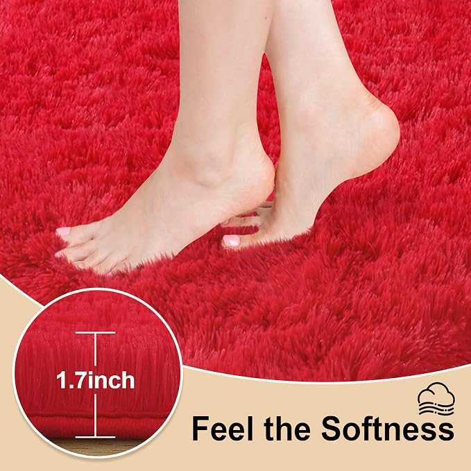 Mugorn Small Soft Shag Rugs for Bedroom, 2x3 Fluffy Area Rugs for Living Room