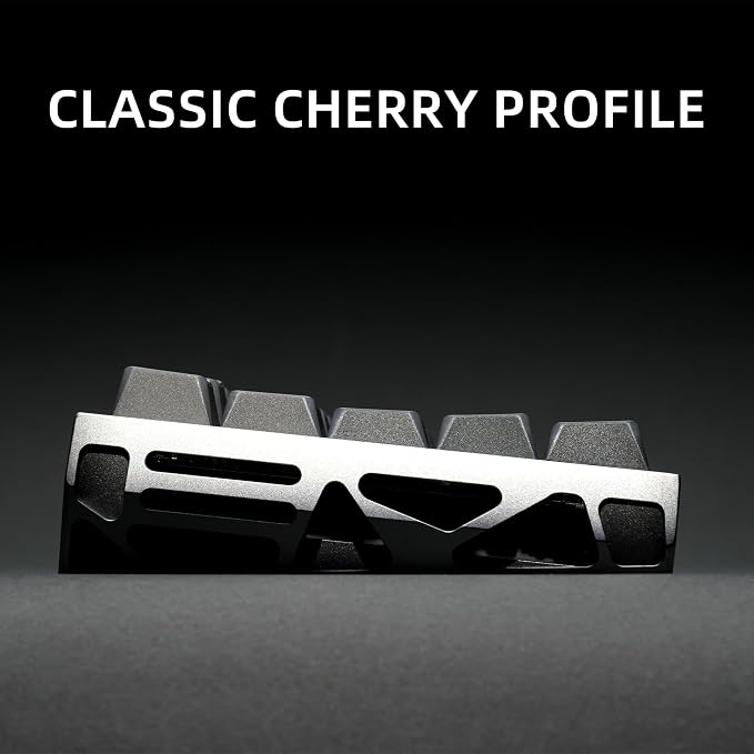 XVX Shine Through PBT Keycaps, Gradient Gray Keyboard Keycaps Cherry Profile, Custom Side Printed Keycap Sets Suitable for 60% 65% 75% 80% 100% Mechanical Keyboard