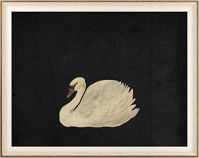 VIYYIEA Framed Wall Art for Living Room, Animal-【Zwaan】, 20L x 16W