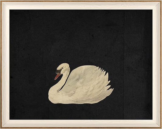 VIYYIEA Framed Wall Art for Living Room, Animal-【Zwaan】, 20L x 16W