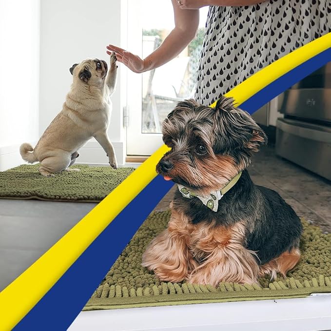 Muddy Mat® | Super Absorbent Door Mat Indoor, Microfiber Quick Dry Chenille Entryway Rug, Non-Slip Front Door Mat, Indoor Mats for Entryway, Machine Washable Pet Rug, Sage 20" x 48"