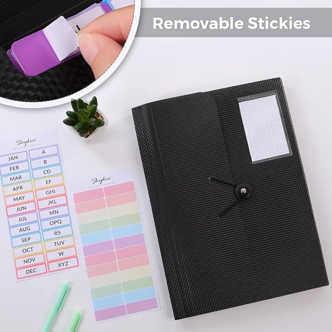 SKYDUE 2Pack Expanding File Folder, Accordion File Organizer with 13 Pocket | Accordion Folder with Labels for A4/Letter Sized Paper, Document Receipt Organizer for Office, School, Home