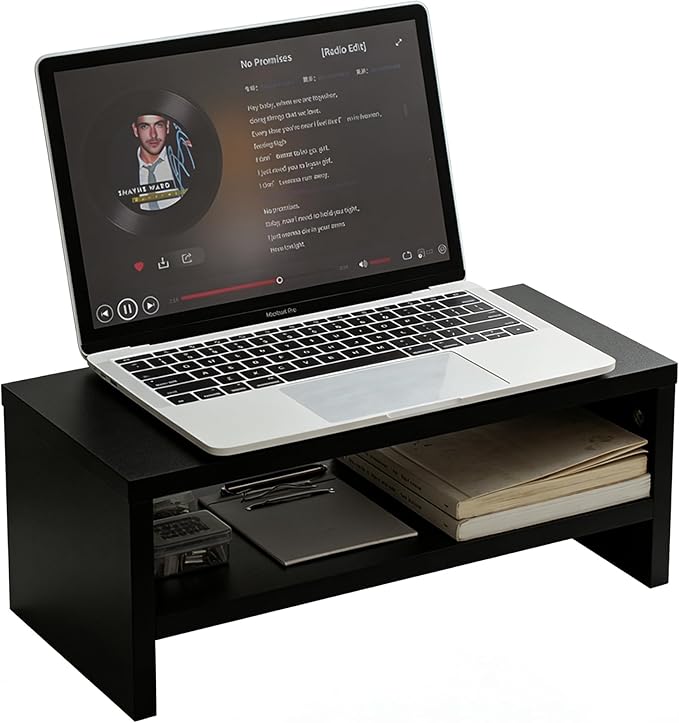 Wooden Monitor Stand Riser, 2-Tier Desk Shelf with Storage Organizer, Ergonomic Computer Stand, Storage Organizer for Laptop, Computer, Black, 15.7 Inch