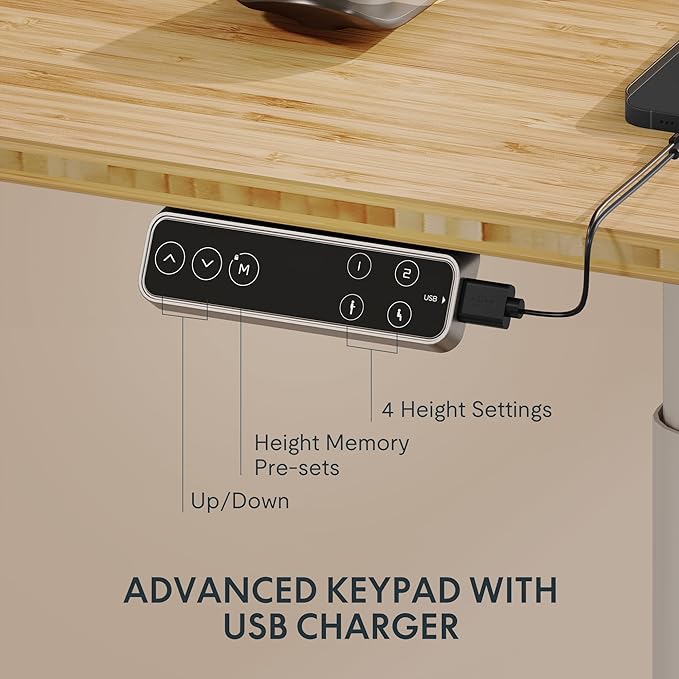 FLEXISPOT E6 Pro Oval Leg Dual Motor 3 Stages Bamboo Whole-Piece Electric Standing Desk 48x24 Inch Board Height Adjustable Electric Sit Stand Up Desk (White Frame + Bamboo Whole-Piece Desktop)