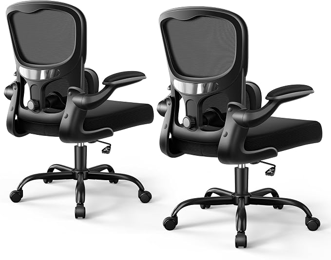 ALLGOD Ergonomic Office Chair, Breathable Mesh Ergonomic Desk Chair with Adjustable Lumbar Support, Flip-up Armrests, Computer Chairs Comfortable for Home, Office, Work, 300lbs, Black (2Pack)