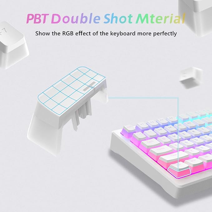 Womier Pudding Keycaps, PBT Shine Through Keycaps 165 Keys Set Custom Key caps Set OEM Profile, Universal Compatiability for 100%, 75%, 65%, 60% Keyboard-White