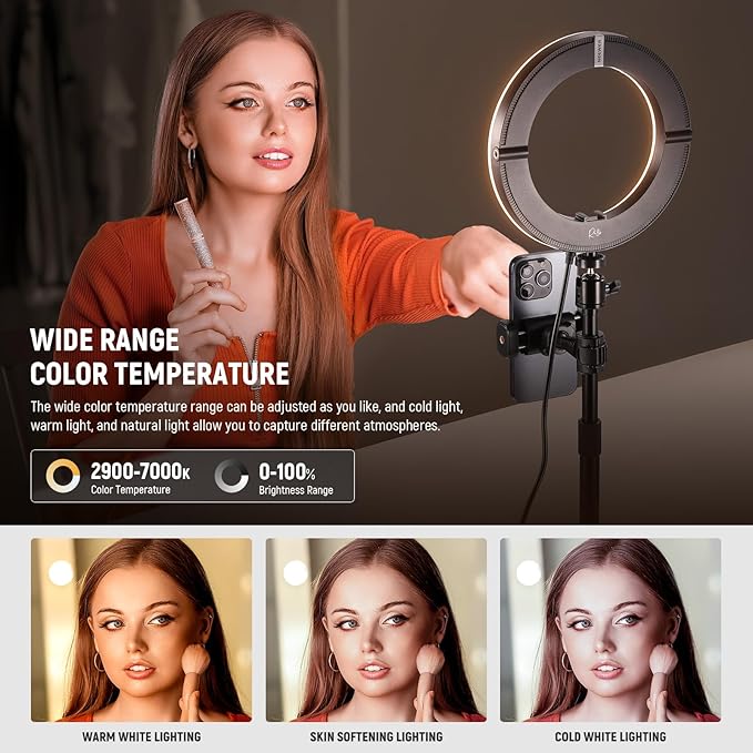 NEEWER 18W 8" Desk Ring Light with Stand, Circle Selfie Light for iPhone Streaming Makeup Video Recording, Video Conference Lighting Kit with Phone Holder for Laptop Computer Zoom Call Podcast, RH8B
