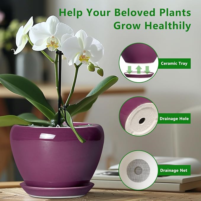 Ceramicfor Ceramic Pots for Plants 6 Inch - Ceramic Plant Pots with Drainage Hole and Saucer, Glaze Round Planter for Succulent Plants, Gifts for Plant Lovers, Garden Home Decor, Purple