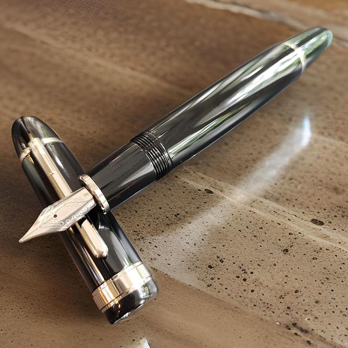 Luxury Fountain Pen, Fine Nib (F) Gold Trim Classic Executive Writing Pen,18K Gold Plated Nib, Professional Business Gift with Ink Refill Converter (Black Silver Trim)