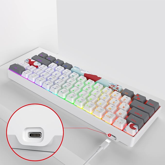 60% Mechanical Keyboard 61-Key Wired Gaming Keyboard with Red Switch RGB Lighting Effect PBT Keycaps Ultra-Compact Mini Keyboard Suitable for Win/Mac(61 White)