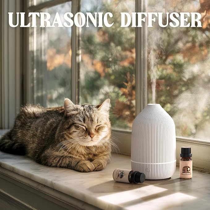 Essential Oil Diffuser, 2Pack, 100ml Aromatherapy Diffuser, Mini Ultrasonic Diffuser for Essential Oil, Home, Office, Cool Mist Humidifier with 7 Led Light, Auto Shut-Off, White & Black