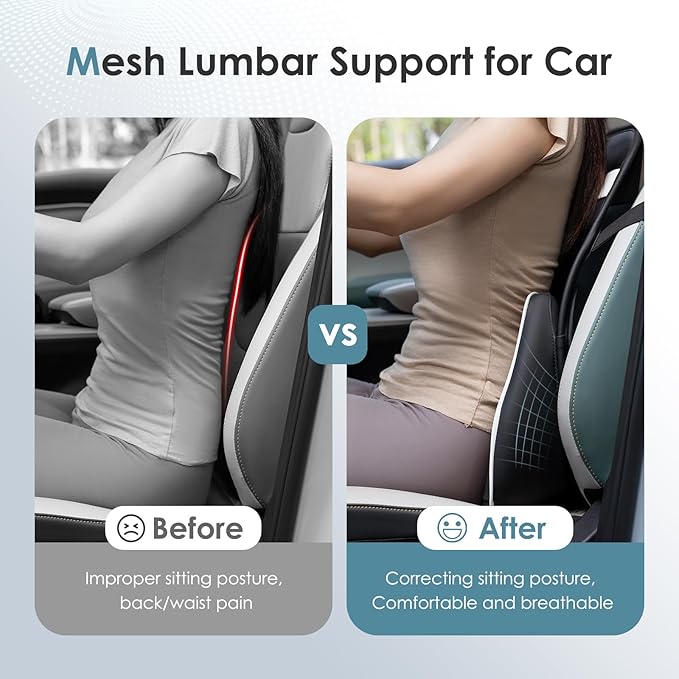 FLORICH Memory Foam Double Layer Breathable Mesh Lumbar Support Ergonomic Leather Lumbar Support Pillow with 3D Mesh Back Support and Adjustable Strap for CarSeat & Office Chair(Black)