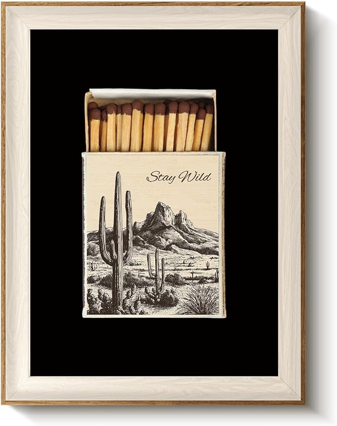 VIYYIEA Vintage Framed Wall Art for Living Room, Modern Matchbox Cactus Desert Canvas Painting, Southwestern Bohemian Print, Wall Decor for Bedroom Bathroom, 16L x 12W