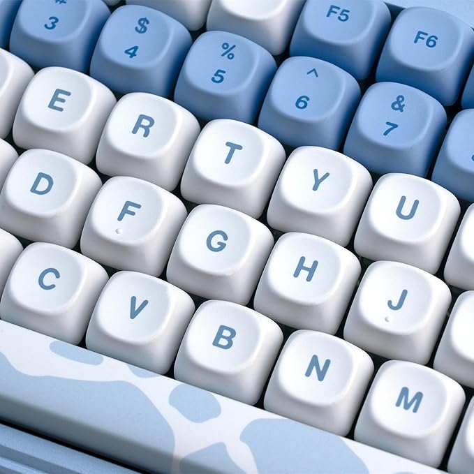 OHY XVX Dolphin Theme PBT Dye-Sub Keycaps Set, 145-Key Blue Custom Keycaps for 75% Mechanical Keyboards (Compatible with Cherry MX/Gateron Switches & Mac/Windows PC)
