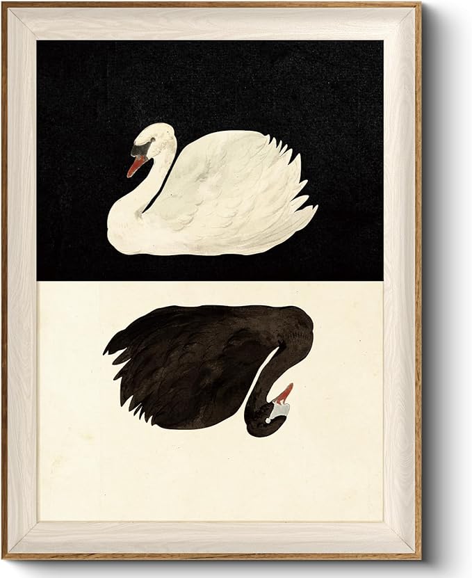 VIYYIEA Framed Wall Art for Living Room, Swan Canvas Prints, Vintage Home Decor, Animals Painting Picture, Bathroom Wall Decor Gifts for Friends or Family - 16L x 12W