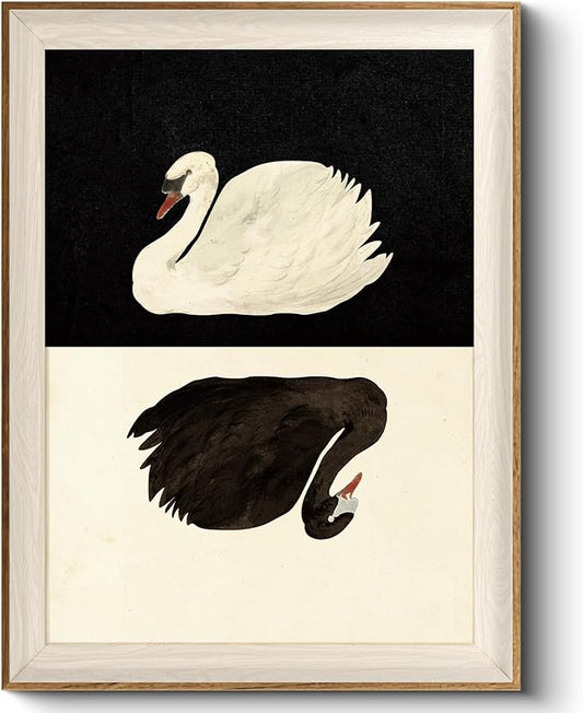 VIYYIEA Framed Wall Art for Living Room, Swan Canvas Prints, Vintage Home Decor, Animals Painting Picture, Bathroom Wall Decor Gifts for Friends or Family - 16L x 12W