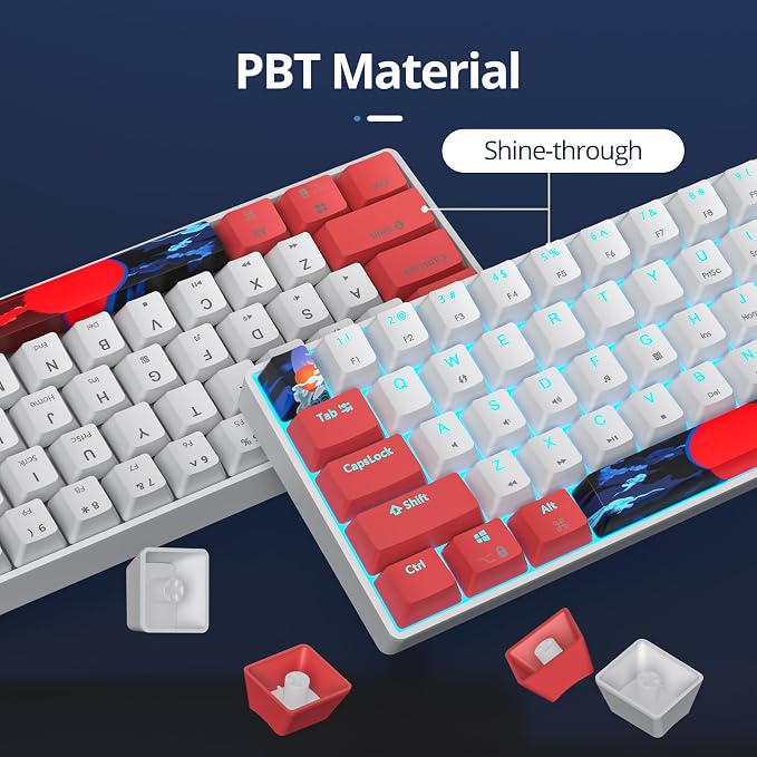 60 Percent Gaming Keyboard 61 Keys Wired Mechanical Keyboard Ultra Compact Key Board Red Switch LED Backlit for Windows Laptop Gamer