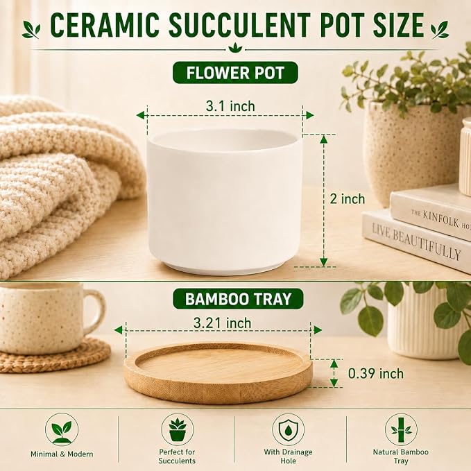 ZOUTOG Succulent Pots 3.15 Inch,4 Pack Succulent Planters,Small Pots for Plants with Drainage and Tray,White Ceramic Flower Planters for Indoor Plants,Home,Office,Desk