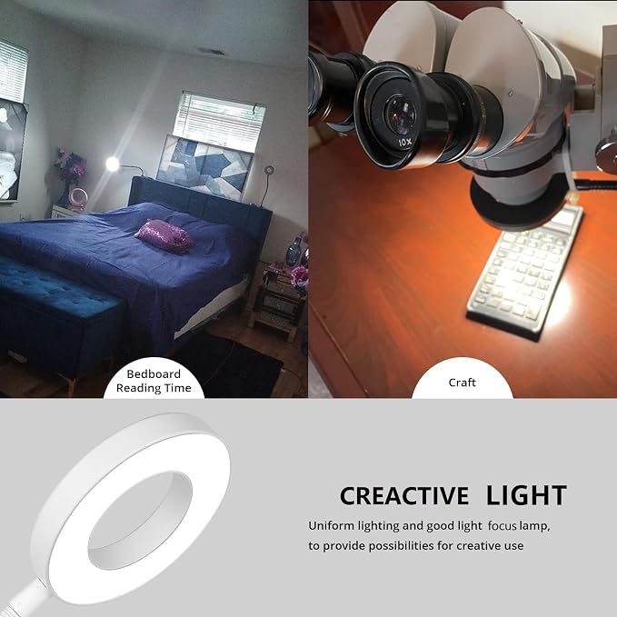 Woputne Desk Clip on Lamp for Reading Home Office, with 5V 2A Adapter, 10 Dimmable Brightness 3 Modes, Clamp Reading Light for Bed Headboard, Craft (White)…