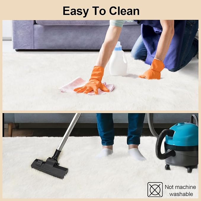 Mugorn Small Soft Shag Rugs for Bedroom, 3x5 Fluffy Area Rugs for Living Room