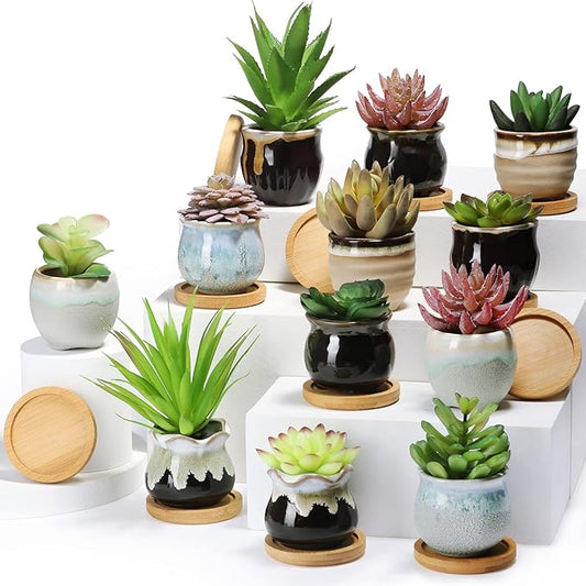 Remerry 18 Pcs Small Succulent Pots Bulk with Drainage 2.5 Inch Assorted Mini Ceramic Succulent Planters Pot with Coaster Bamboo Plant Tray Planting Pots for Home Office Garden
