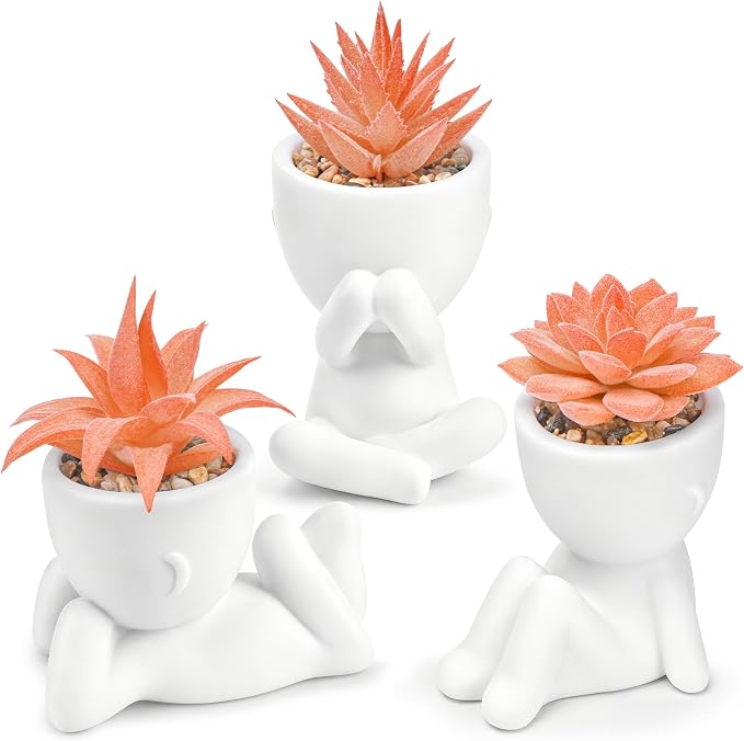Der Rose Set of 3 Fall Artificial Succulent Plants, Small Fake Plants in Cute Pots, Autumn Room Decor for Bathroom, Bedroom, Office Desk, Shelf
