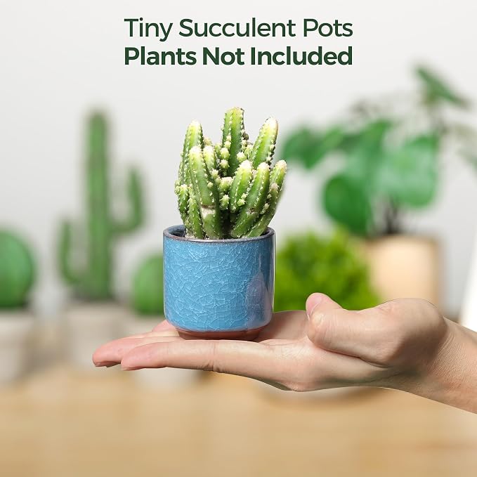 T4U 2.5 Inch Small Ceramic Succulent Planter Pot with Drainage Hole Set of 6, Ice Crack Glaze Plant Container for Cactus, Succulent Plant Gifts for Women Mom Aunt Home Office Decor