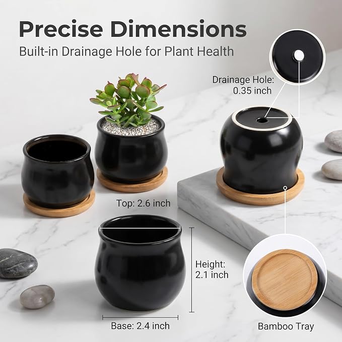 SHECIPIN 2 Pack Succulent Pots, 2.5 Inch Mini Ceramic Pots for Flower or Cactus Plants with Drainage Hole,Plants Not Included (Black)