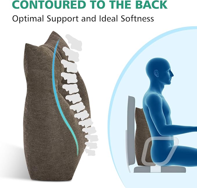 Shinnwa Lumbar Support Pillow for Office Chair, Memory Foam Back Support Pillow for Back Pain Relief, Car, Chair and Couch, 15x17.5x4.5in, Brown