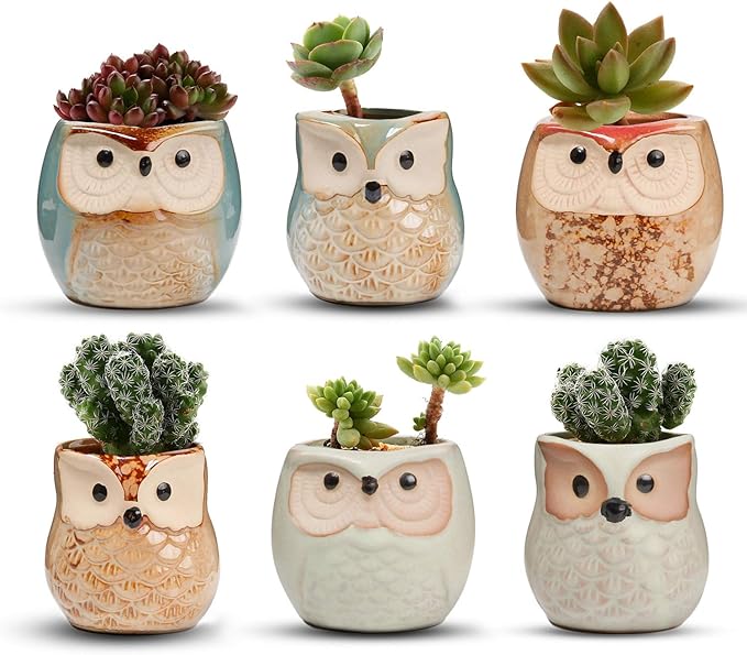T4U Owl Ceramic Succulent Planter Set of 6, 2.5 Inch - Mini Cute Animal Pots with Drainage Holes, Small Flower Planters for Windowsill Desk Decor, Gift for Owl Lovers