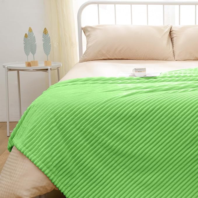 Vessia Flannel Fleece Throw Blanket (50X70 inch), 300GSM Lightweight Light Green Blanket for Couch, Sofa and Bed - Warm and Soft Green Throw for All Season