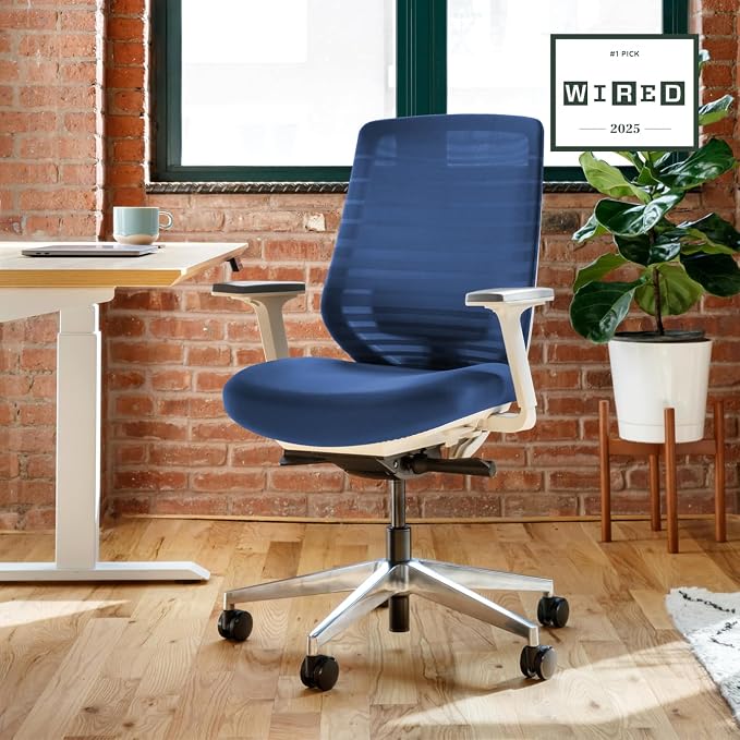 Branch Ergonomic Chair, Versatile Desk Chair with Adjustable Lumbar Support | Breathable Mesh Backrest and Smooth Wheels, Experience Optimal Comfort and Support, Baltic