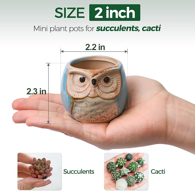 T4U Owl Ceramic Succulent Planter Set of 12, 2.5 Inch - Mini Cute Animal Pots with Drainage Holes, Small Flower Planters for Windowsill Desk Decor, Gift for Owl Lovers
