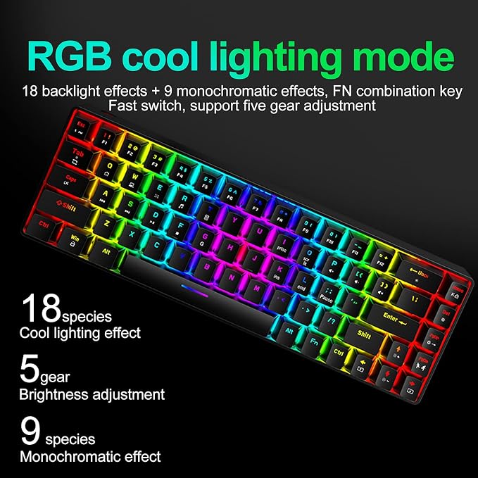 65% Wired Gaming Mechanical Keyboard and Mouse Combo, Mini 68 Keys, RGB Backlight, Lightweight RGB Optical Mouse,Mouse Pad Compatible with PS4,Xbox,PC,Laptop,MAC (Black/Blue Switch)